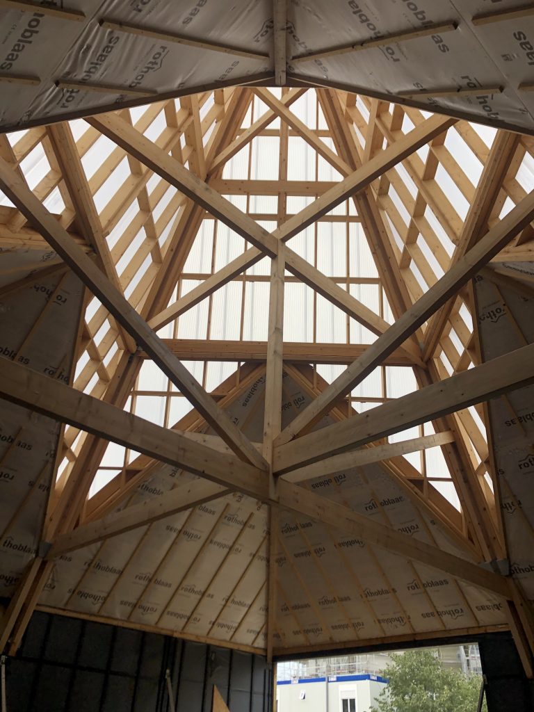 toiture-professionnel-IMG_0823