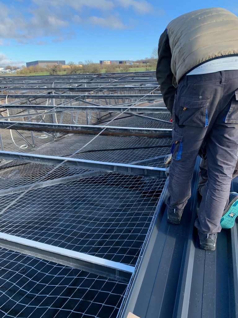 toiture-professionnel-IMG_3736